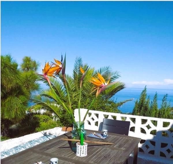 Zenrepublic, Your Private Villa With Outdoor Jacuzzi & Pool With Stunning Ocean Views Puntillo Del Sol Eksteriør bilde